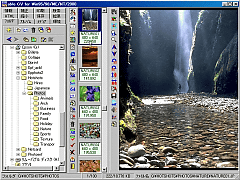 Able CV for Windows95/98/ME/NT/2000