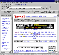 Active Surfer `̒Bl`