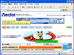 WebFu1000 for Internet Explorer SS