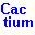 Cactium