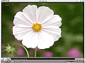 GOM PLAYER 2.0.0.1799