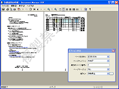 Document Manager PDF