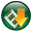 Web Video Downloader