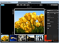 Digital Studio 2010