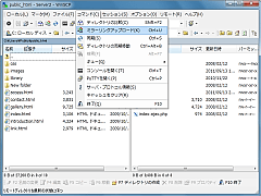 WinSCP SS