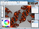Paint.NET
