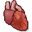 ���ƉJ�Ƃ��������݉�