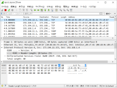 Wireshark SS