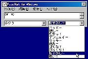 FaceMark for Windows98/95 ̉