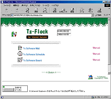 「Ts-Flock for Internet Explorer」の動作画面