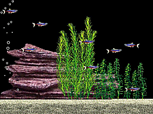 �g��\�����Č������ꍇ�́A�摜���N���b�N���Ă�������