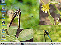 �g��\�����Č������ꍇ�́A�摜���N���b�N���Ă�������