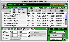 File Batch Exchanger