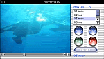 uMacMovieTV 1.1v̉