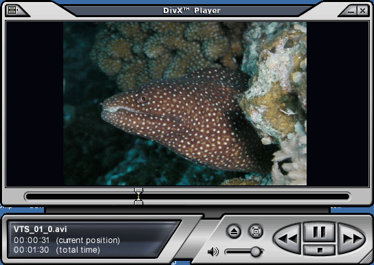 DVDRo[^ with DivX PRO