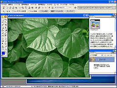 Adobe Photoshop Elements