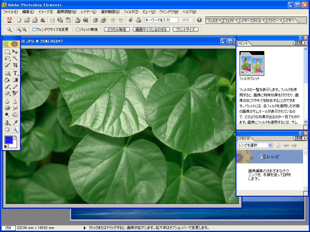 Adobe Photoshop Elements