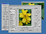 ȈՑ҂󂯉摜[J[ 0.3.4.0