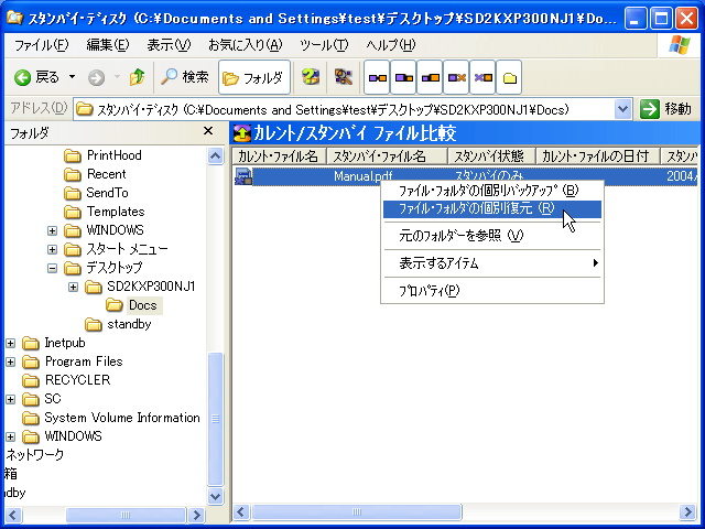 StandbyDisk 2000-XP Pro