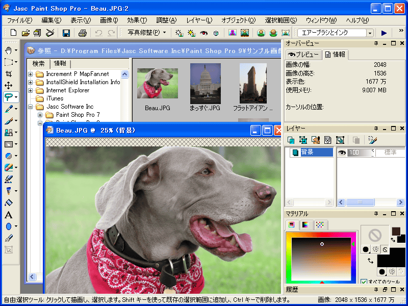 Paint Shop Pro