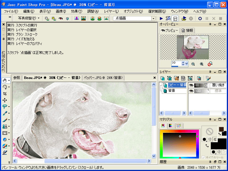 Paint Shop Pro