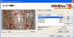 DaViDeo HyperVideo Converter2
