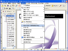 Adobe Acrobat 7.0 Professional