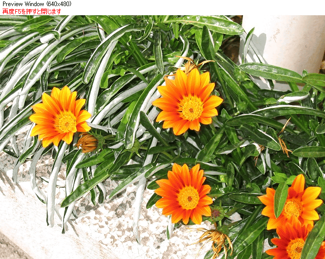 Jpeg Resizer