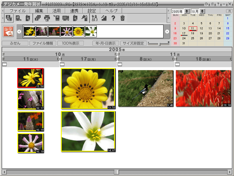 �f�W�J���ꔭ�N���