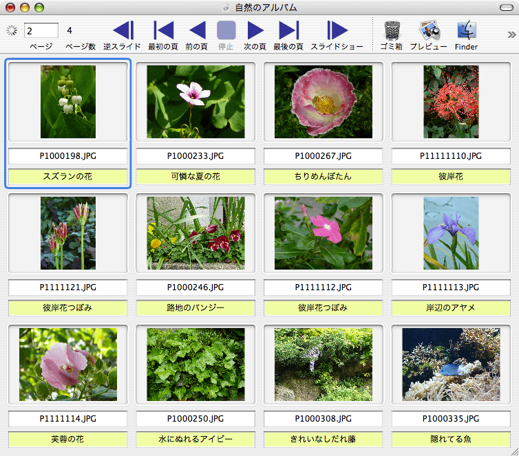 PictCatalogX