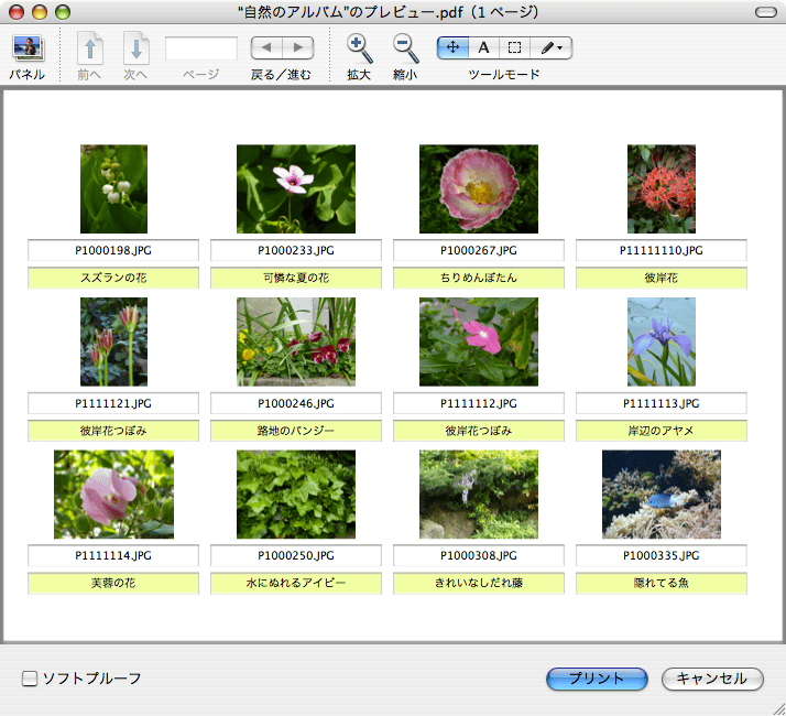 PictCatalogX