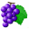 Grape File Search