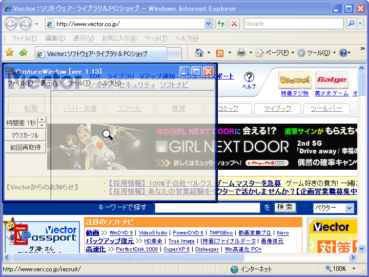 CaptureWindow