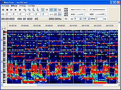 WaveTone SS