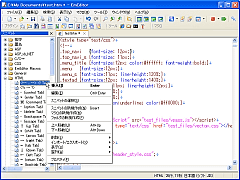 EmEditor Professional(32rbg) SS