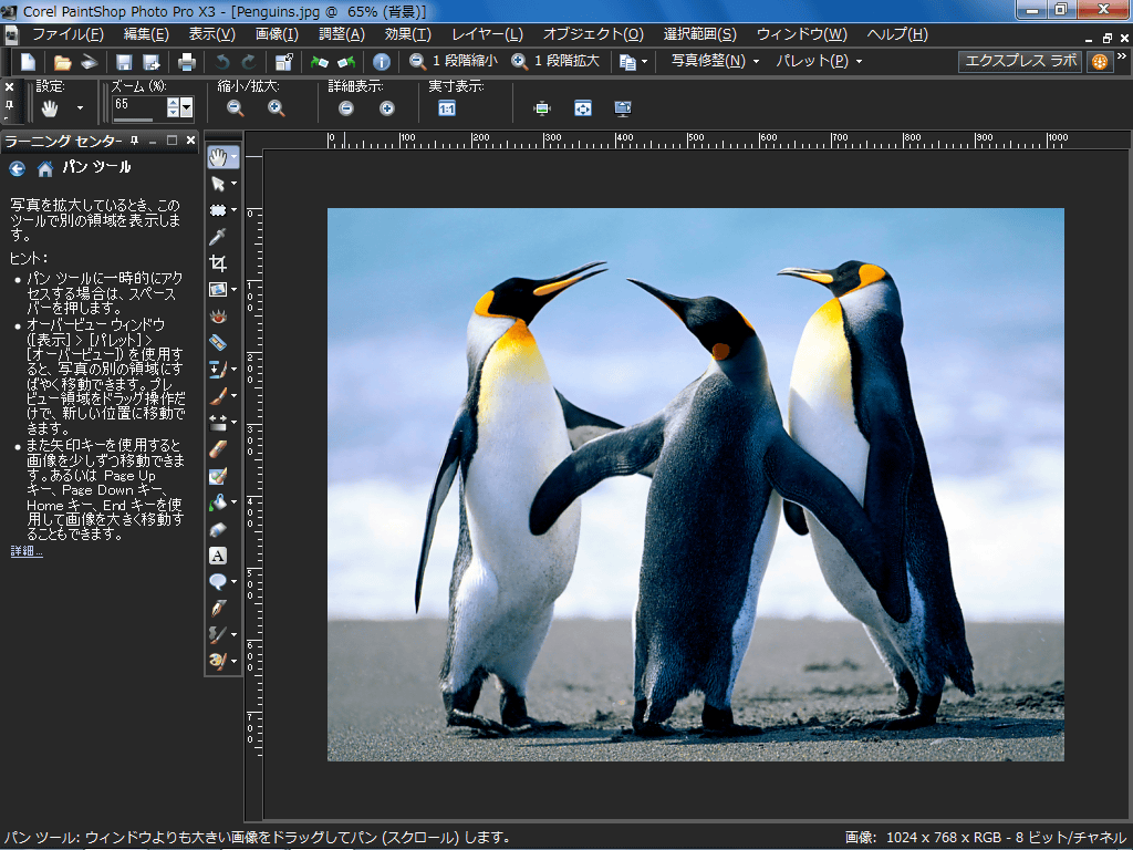 Corel PaintShop Photo Pro X3