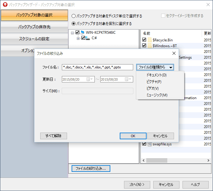 HDv/BackUp Next Ver.2 Professional