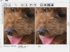 PhotoZoom Pro 8 SS