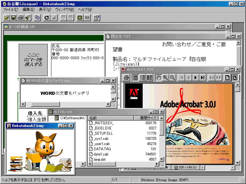 0円 当店限定販売 自在眼11プロフェッショナルfor Windows