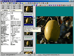 「Able CV for Windows95/98/NT」の動作画面